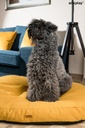 Amiplay Montana koiranpatja ovaali 78x65x10cm, keltainen L