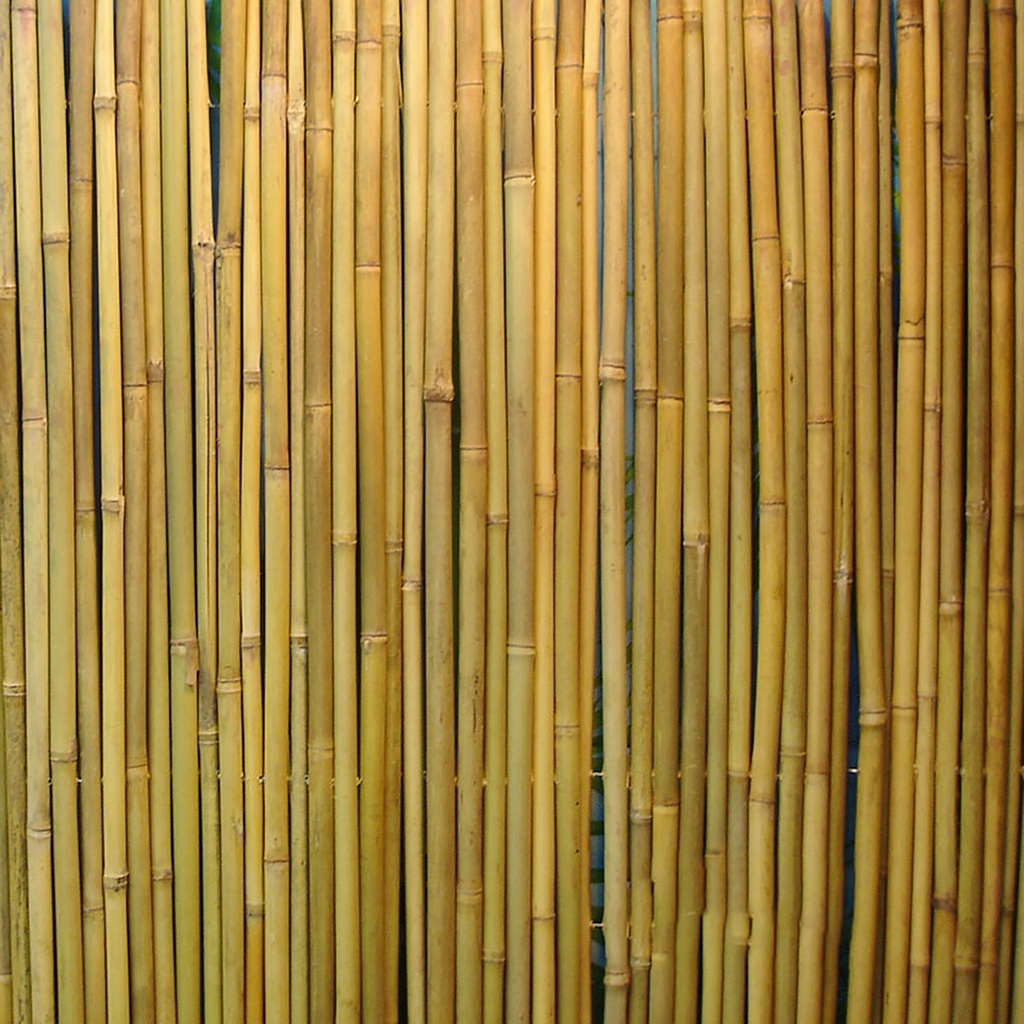 Bambuaita IN GARDEN 3m natural H14/16mm metallilankapunoksella, ruskea K1m
