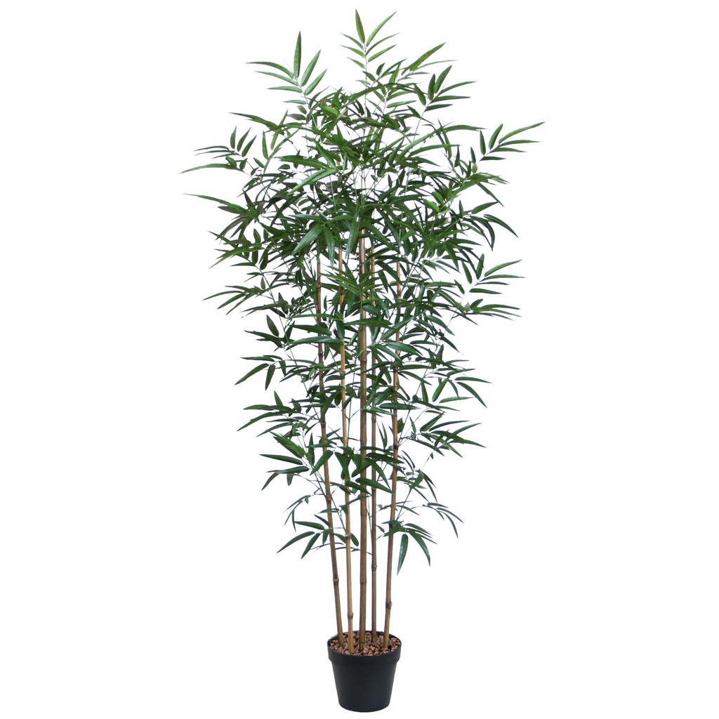 Tekokasvi BAMBOO 150cm, muoviruukussa