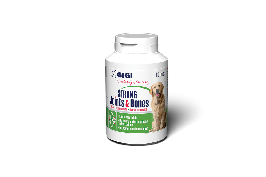 GIGI Strong Joints &amp; Bones luu- ja nivelravinne koiralle 90 tablettia