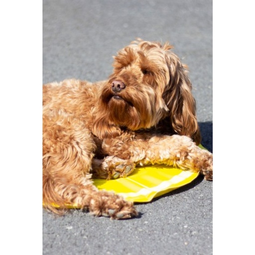 [5025659025087] Rosewood Viilennysmatto koiralle pyöreä ø60cm, sitruuna