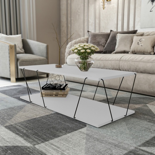 Chic Home Laila sohvapöytä 120x50xK30 cm, valkoinen/musta