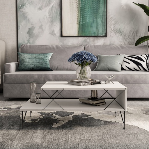 Chic Home Loitsu sohvapöytä 100x50xK40 cm, valkoinen