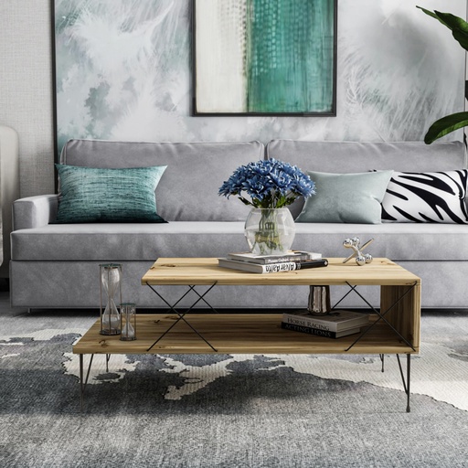[8683342169493] Chic Home Loitsu sohvapöytä 100x50xK40 cm, beige